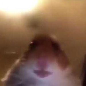 Meet your Posher, Mason